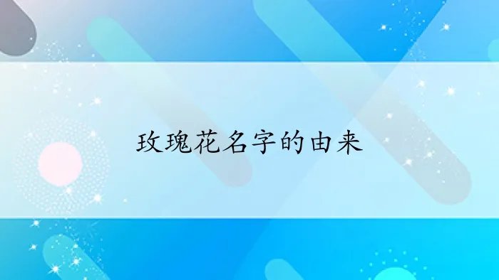 玫瑰花名字的由来