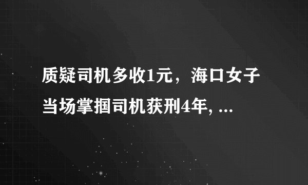 质疑司机多收1元，海口女子当场掌掴司机获刑4年, 你怎么看？