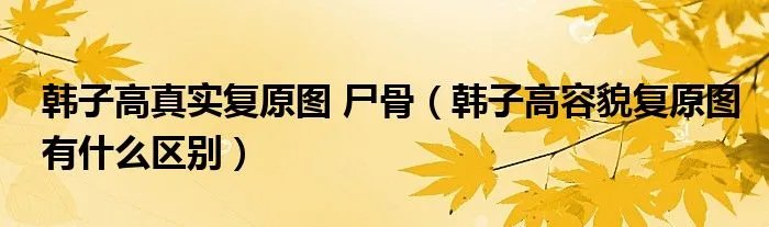 韩子高真实复原图 尸骨（韩子高容貌复原图有什么区别）