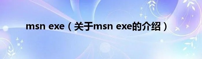 msn exe（关于msn exe的介绍）
