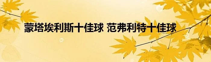 蒙塔埃利斯十佳球 范弗利特十佳球