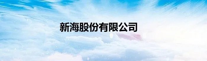 新海股份有限公司