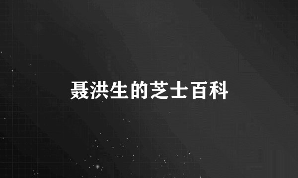 聂洪生的芝士百科