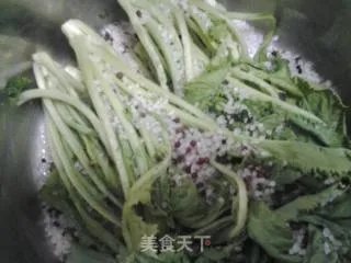 腌雪里红