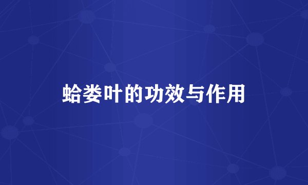 蛤娄叶的功效与作用