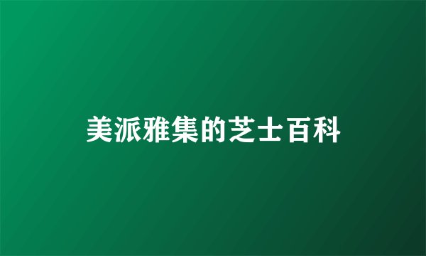 美派雅集的芝士百科