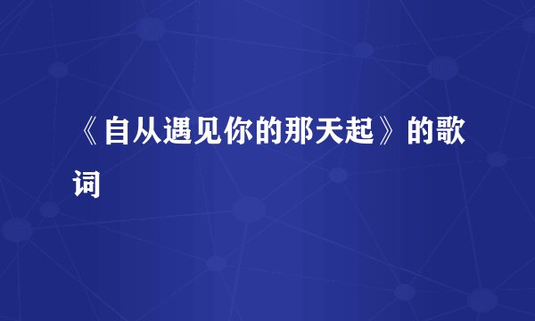 《自从遇见你的那天起》的歌词