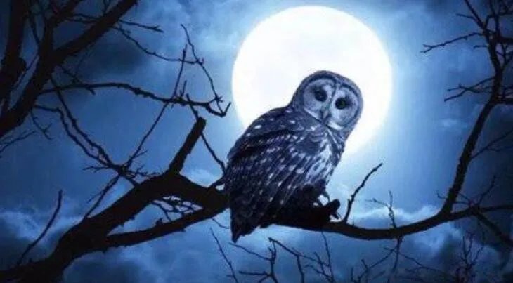 三更是几点到几点 三更半夜的三更指的是什么时候