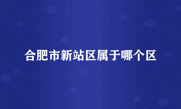 合肥市新站区属于哪个区