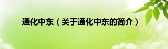 通化中东（关于通化中东的简介）