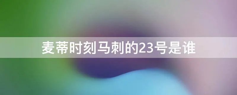麦蒂时刻马刺的23号是谁