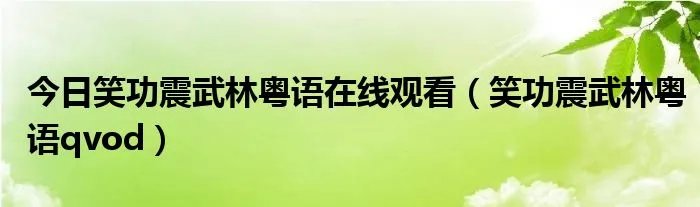 今日笑功震武林粤语在线观看（笑功震武林粤语qvod）