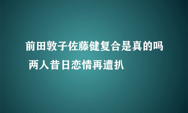 前田敦子佐藤健复合是真的吗 两人昔日恋情再遭扒