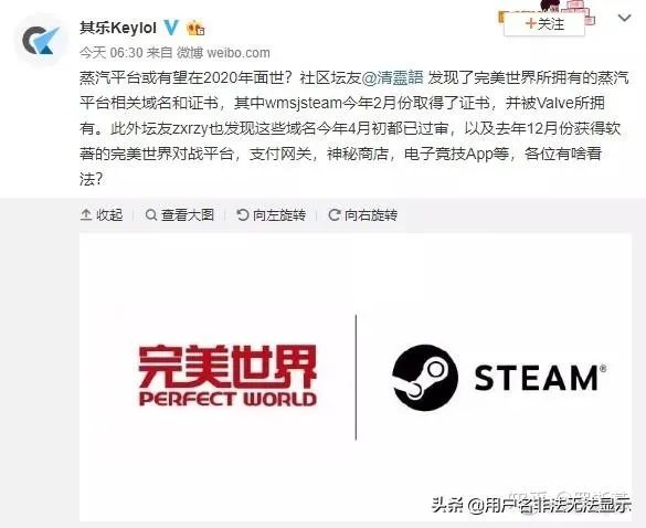 steam国服会出吗?