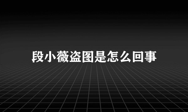 段小薇盗图是怎么回事