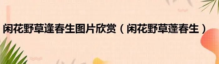 闲花野草逢春生图片欣赏（闲花野草蓬春生）