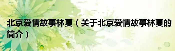 北京爱情故事林夏（关于北京爱情故事林夏的简介）