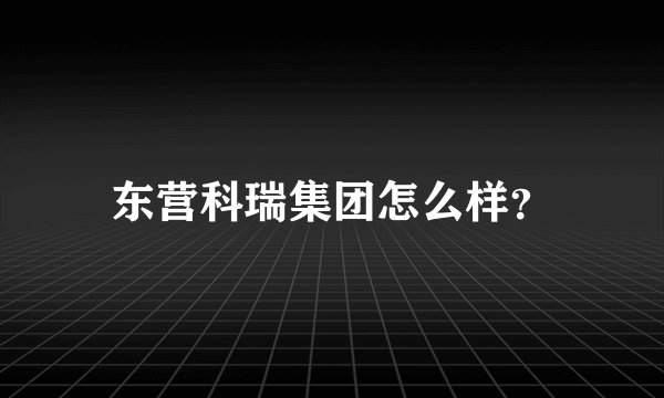 东营科瑞集团怎么样？