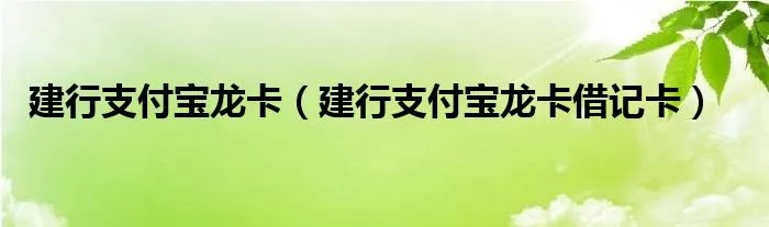 建行支付宝龙卡（建行支付宝龙卡借记卡）