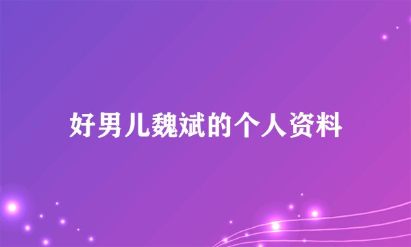 好男儿魏斌的个人资料