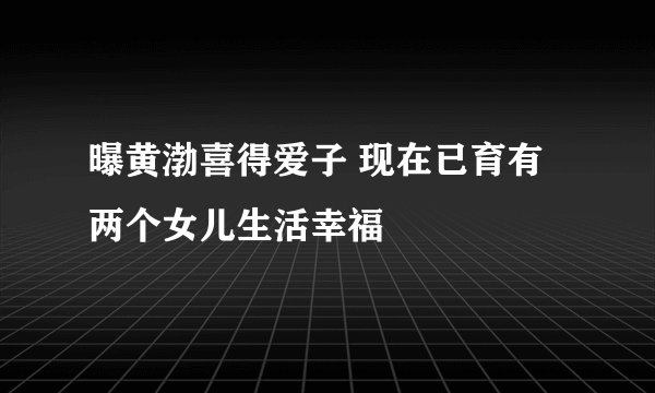 曝黄渤喜得爱子 现在已育有两个女儿生活幸福