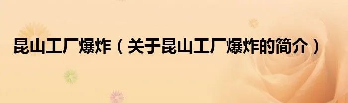 昆山工厂爆炸（关于昆山工厂爆炸的简介）
