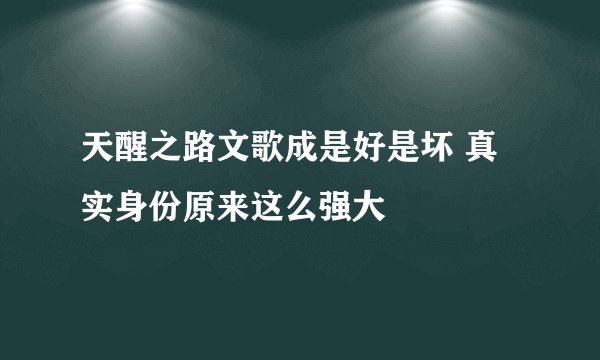 天醒之路文歌成是好是坏 真实身份原来这么强大