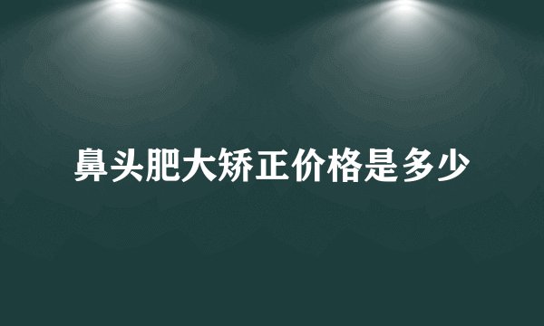 鼻头肥大矫正价格是多少