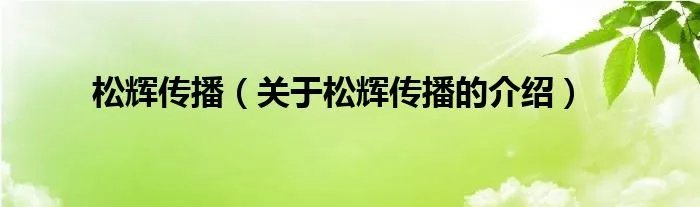 松辉传播（关于松辉传播的介绍）