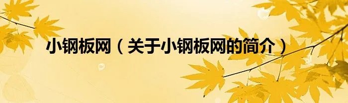 小钢板网（关于小钢板网的简介）