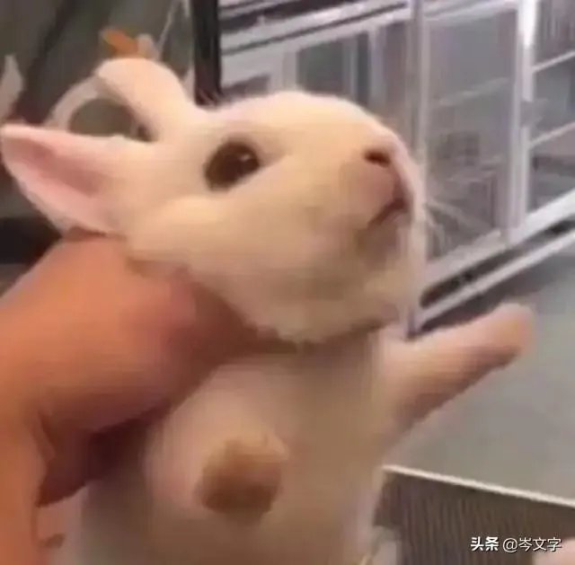 如何评价电影《左耳》?