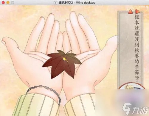 遥远时空2 遥远的时空2ova
