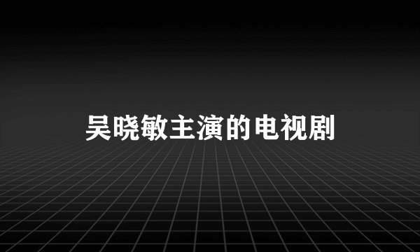 吴晓敏主演的电视剧