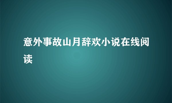 意外事故山月辞欢小说在线阅读
