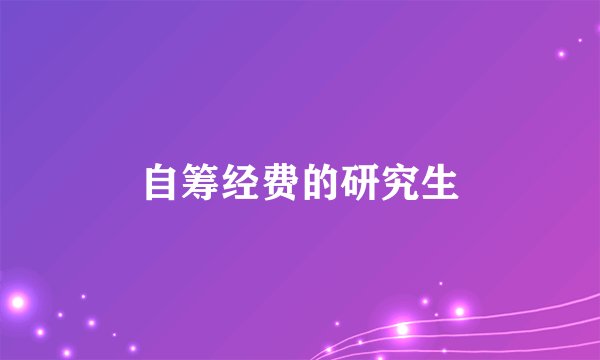 自筹经费的研究生