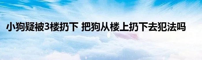 小狗疑被3楼扔下 把狗从楼上扔下去犯法吗