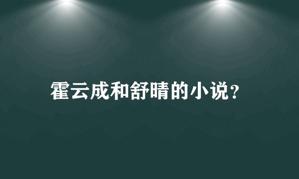 霍云成和舒晴的小说？