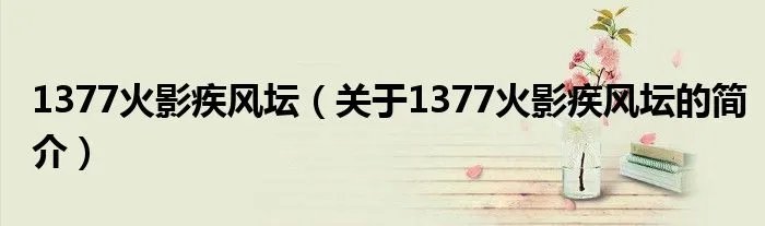 1377火影疾风坛（关于1377火影疾风坛的简介）