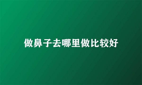 做鼻子去哪里做比较好