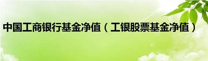 中国工商银行基金净值（工银股票基金净值）
