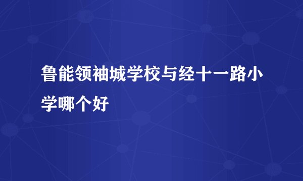 鲁能领袖城学校与经十一路小学哪个好