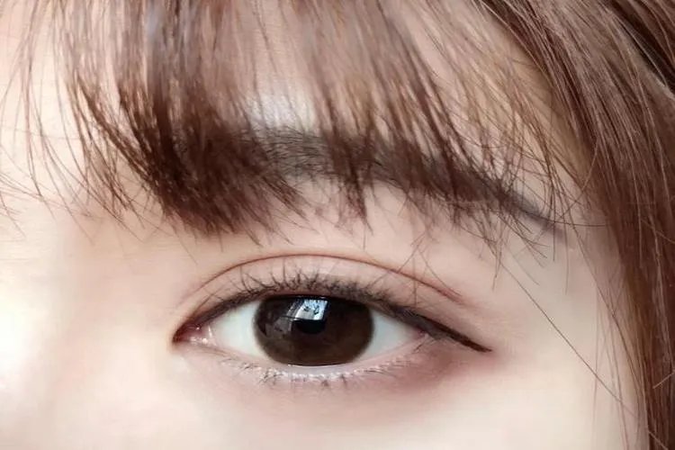 四种双眼皮的图片