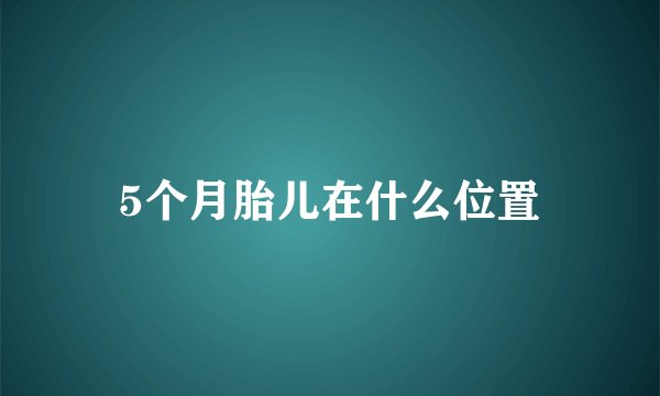 5个月胎儿在什么位置
