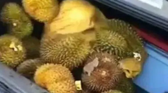 哄抢榴莲村民食物中毒，中毒原因是什么