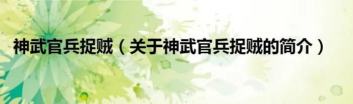 神武官兵捉贼（关于神武官兵捉贼的简介）
