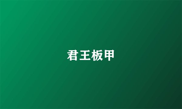 君王板甲
