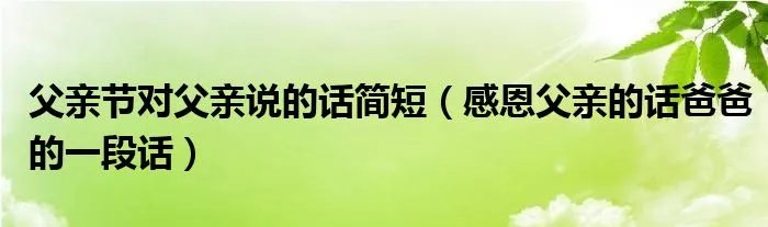 父亲节对父亲说的话简短（感恩父亲的话爸爸的一段话）