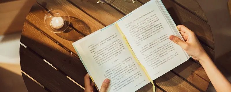 李峰张雪这小说叫什么名