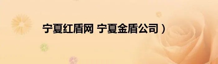 宁夏红盾网 宁夏金盾公司）