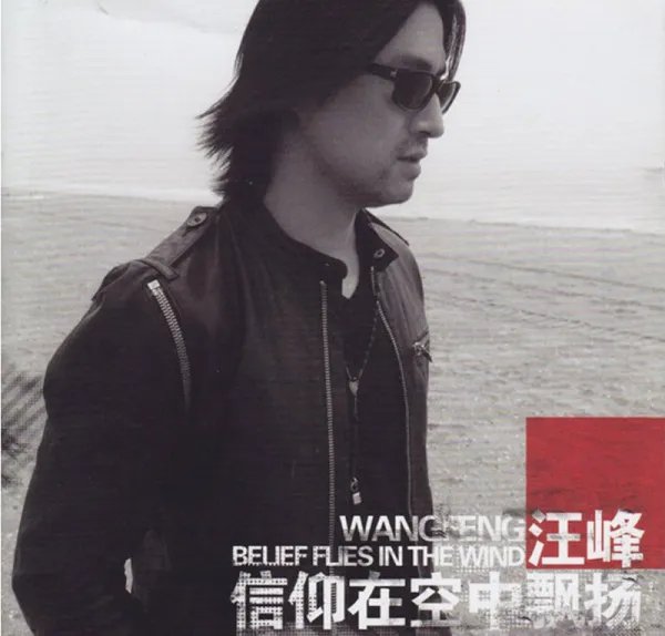有一首歌,歌词有“……如果有一天,我老无所依……”
